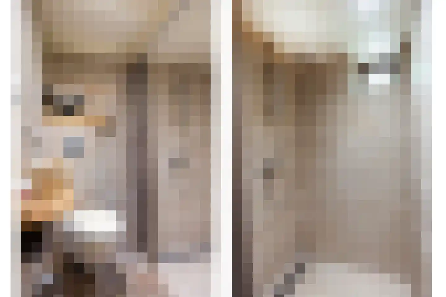 Norelholtweg 10 Epe thumbnail 31