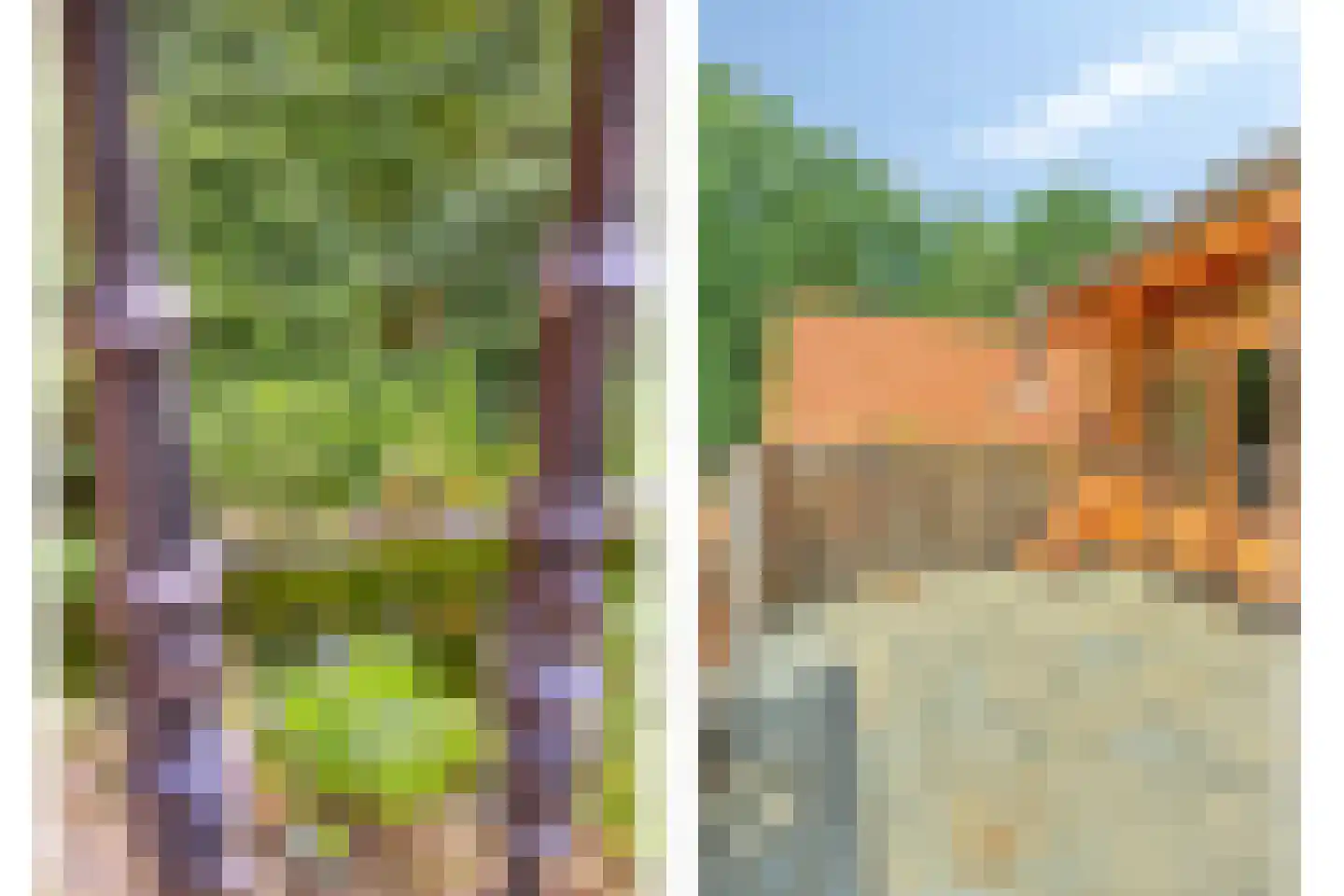 Norelholtweg 10 Epe thumbnail 40