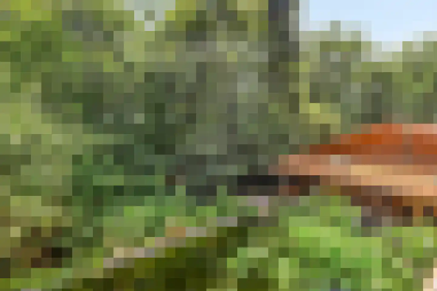 Norelholtweg 10 Epe thumbnail 41