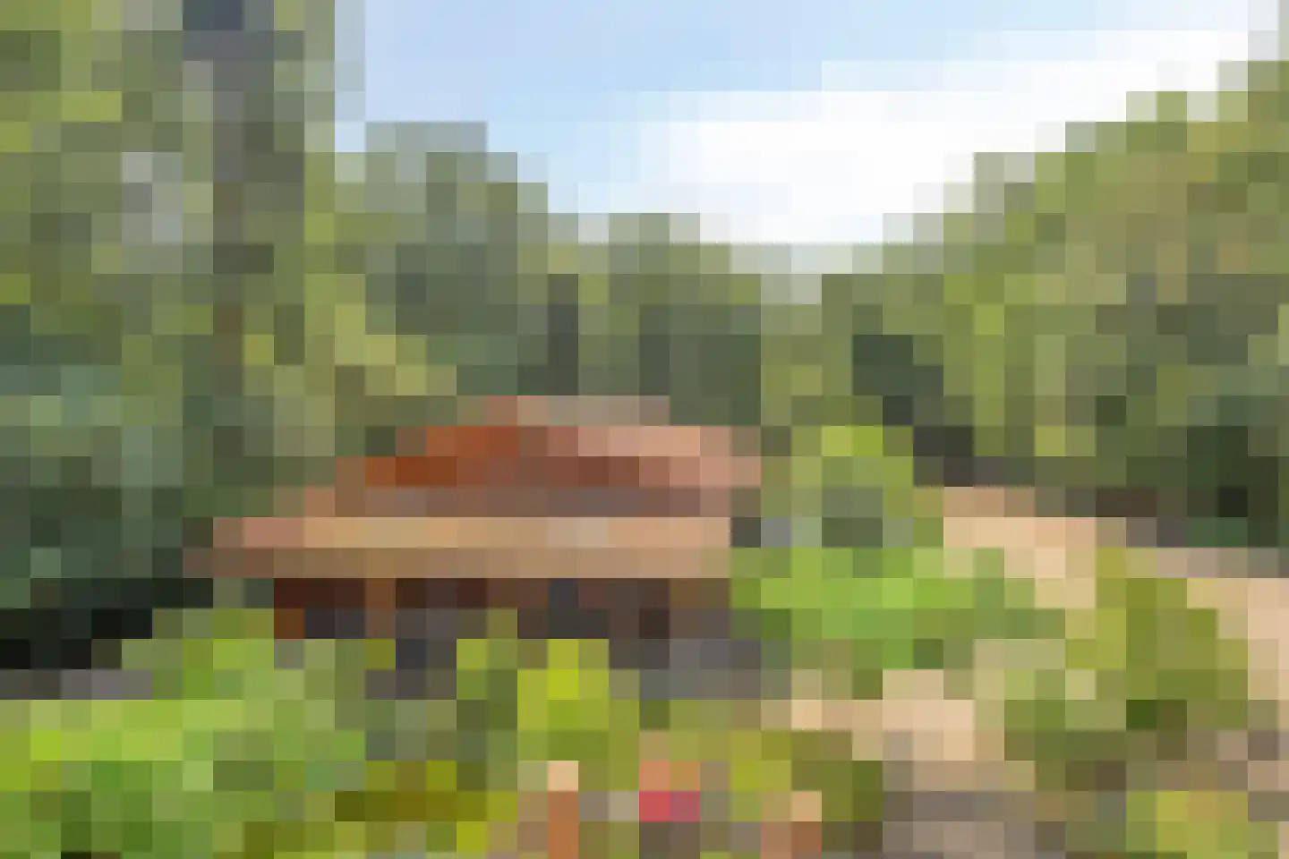 Norelholtweg 10 Epe thumbnail 42