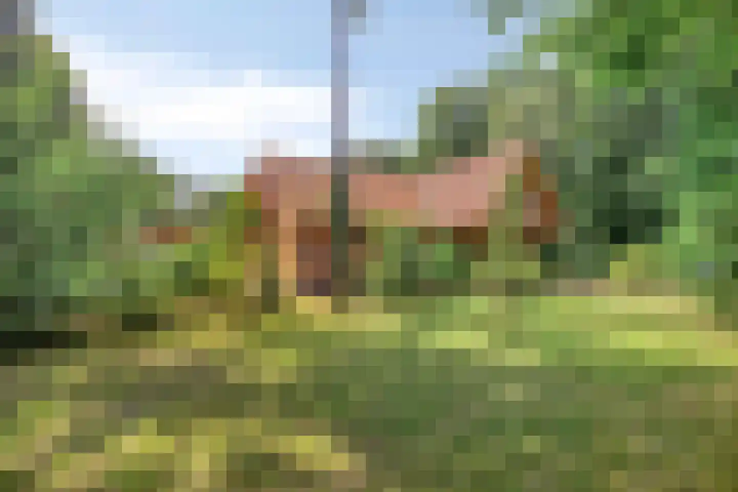 Norelholtweg 10 Epe thumbnail 48