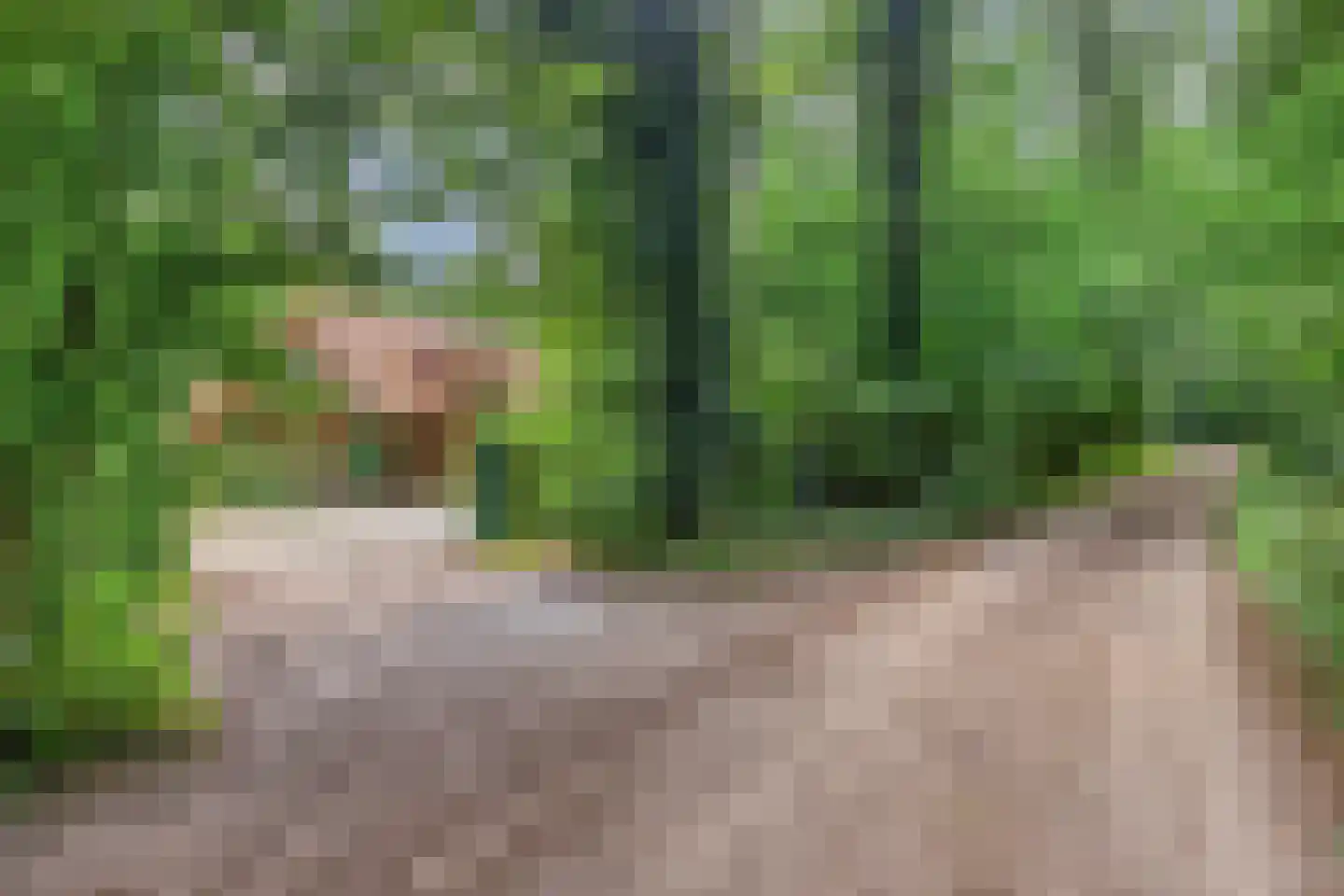 Norelholtweg 10 Epe thumbnail 5