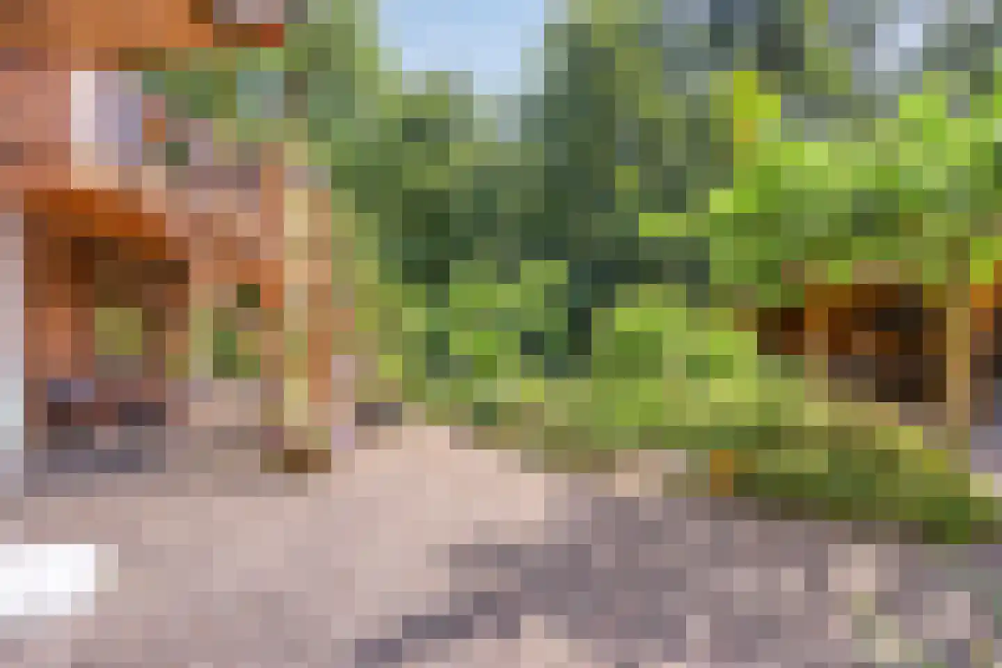 Norelholtweg 10 Epe thumbnail 51