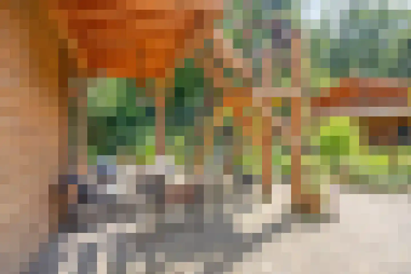 Norelholtweg 10 Epe thumbnail 52