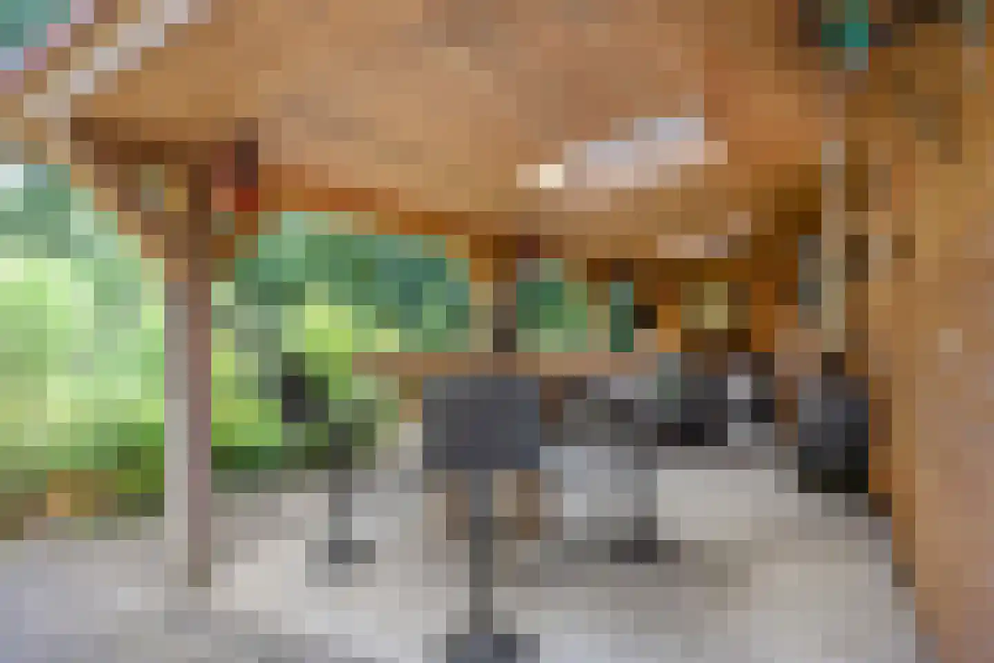 Norelholtweg 10 Epe thumbnail 55