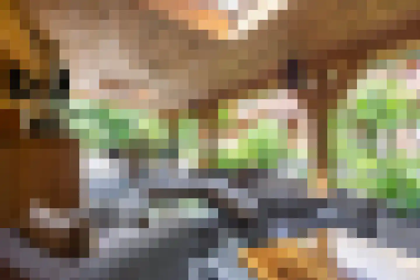 Norelholtweg 10 Epe thumbnail 56