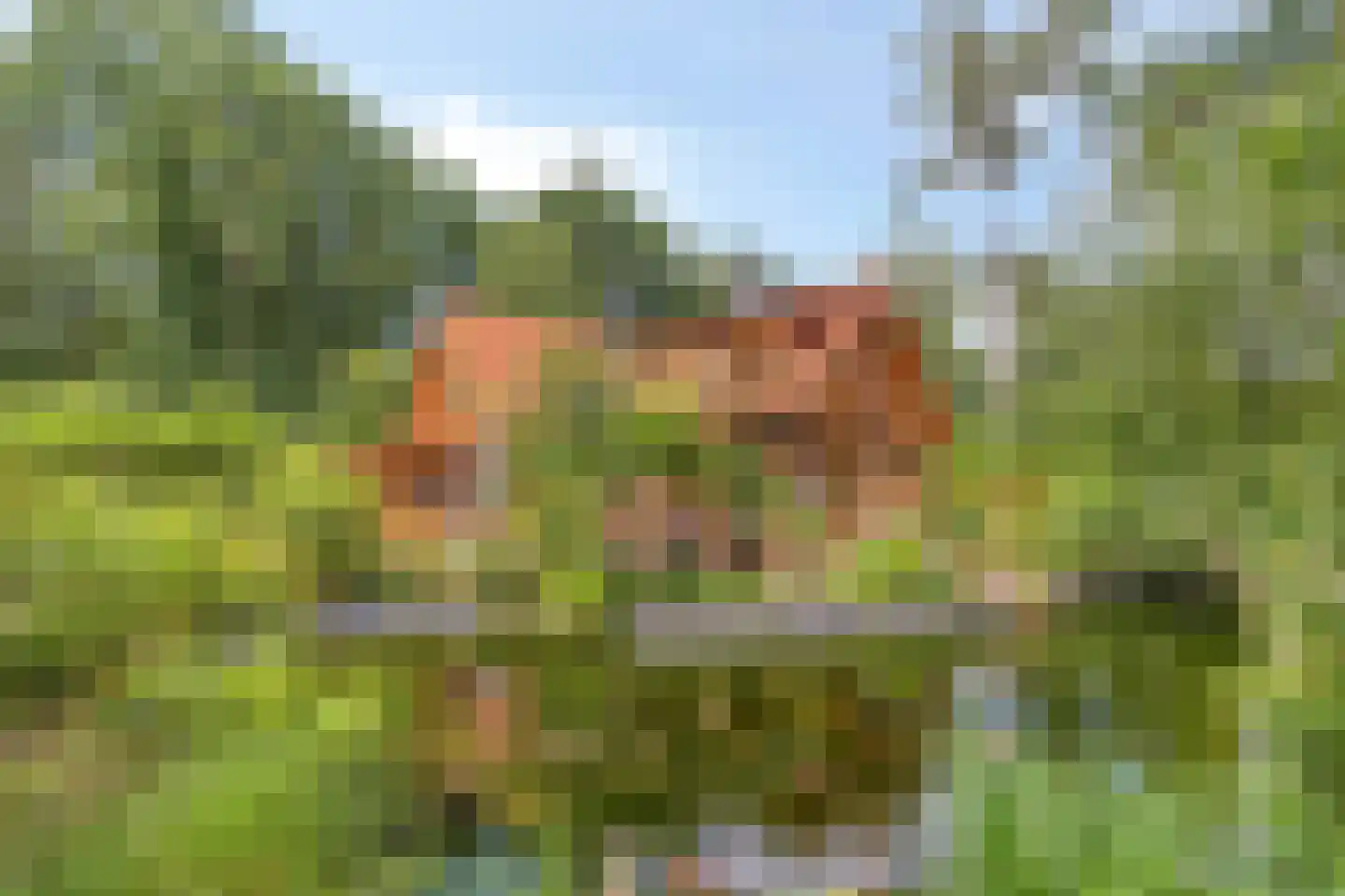 Norelholtweg 10 Epe thumbnail 57