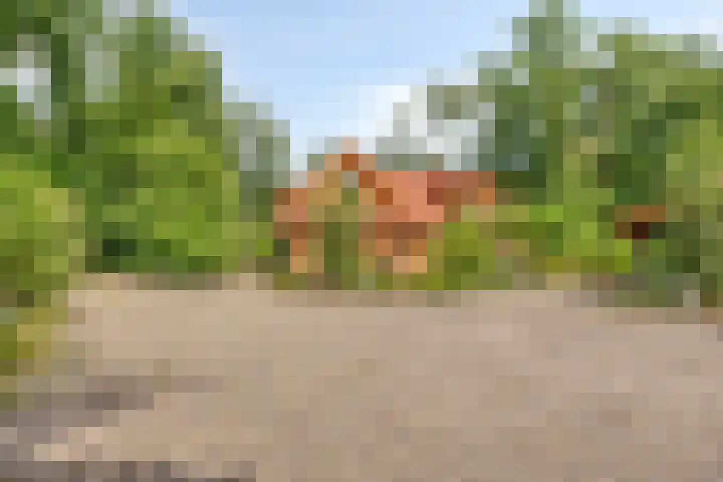 Norelholtweg 10 Epe thumbnail 58