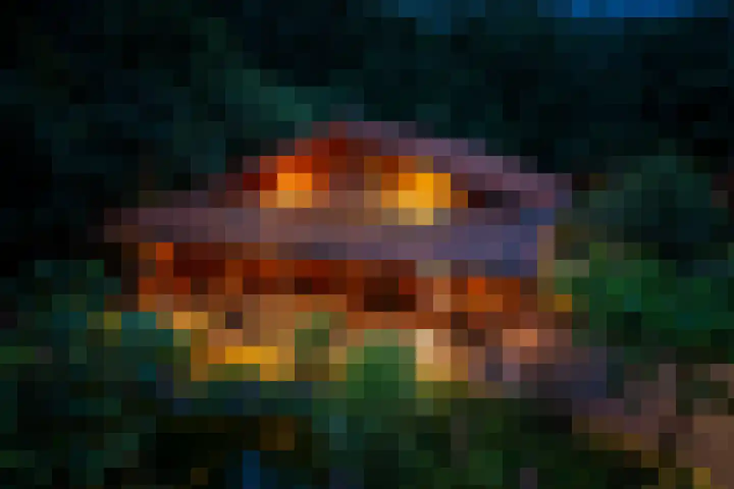 Norelholtweg 10 Epe thumbnail 62