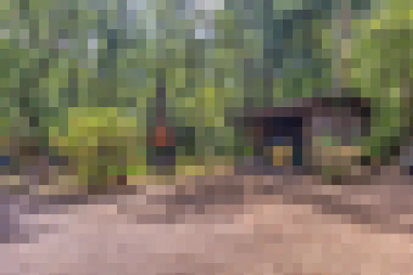 Norelholtweg 10 Epe thumbnail 63