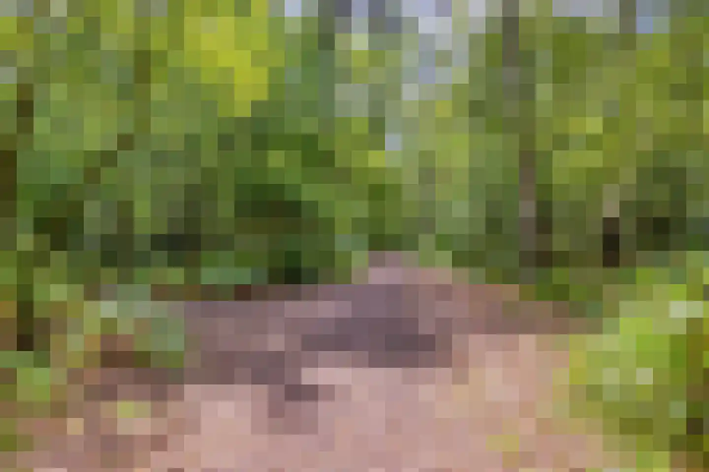 Norelholtweg 10 Epe thumbnail 64