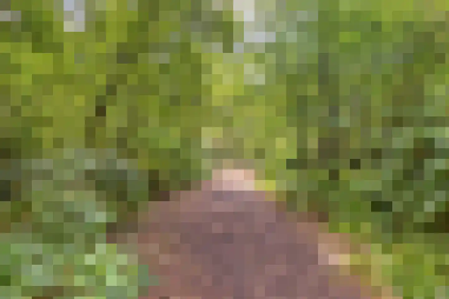 Norelholtweg 10 Epe thumbnail 65