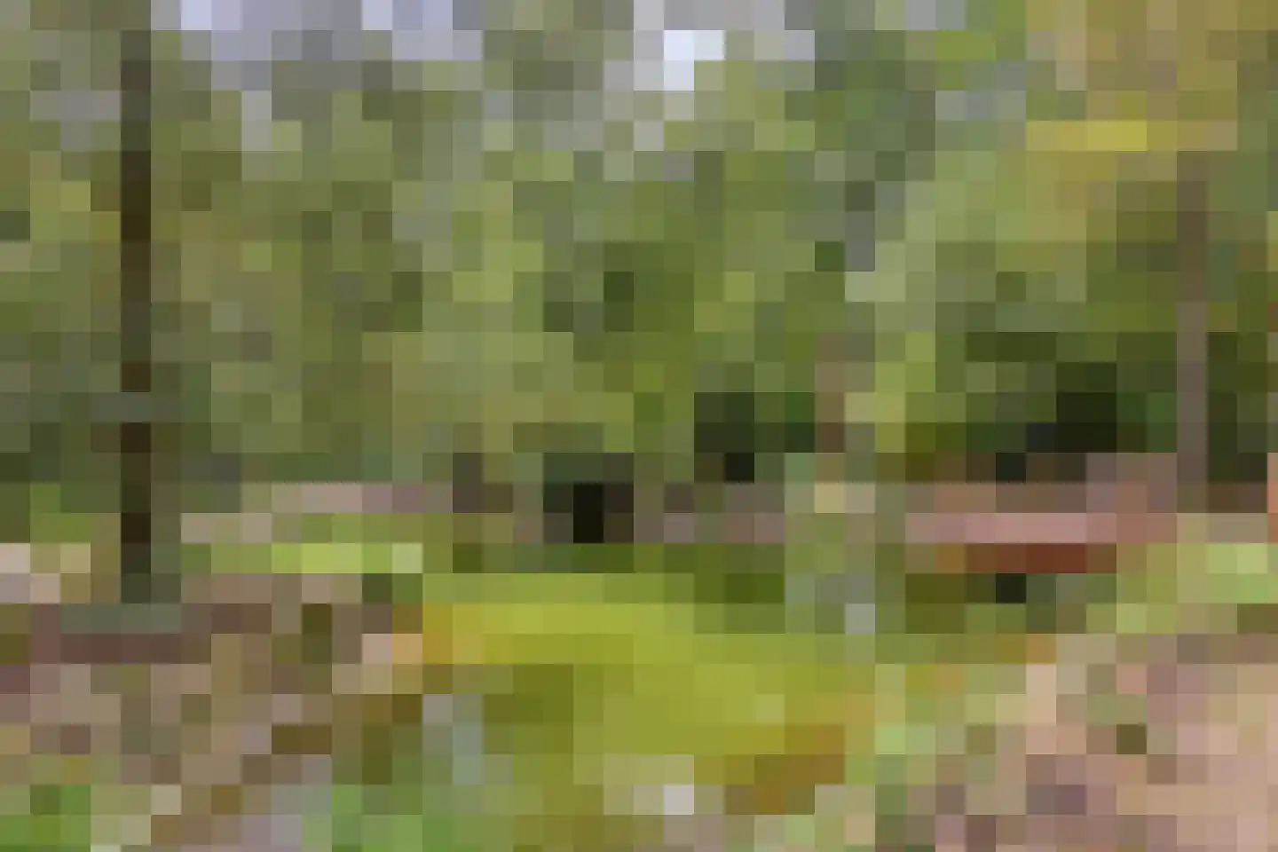 Norelholtweg 10 Epe thumbnail 66