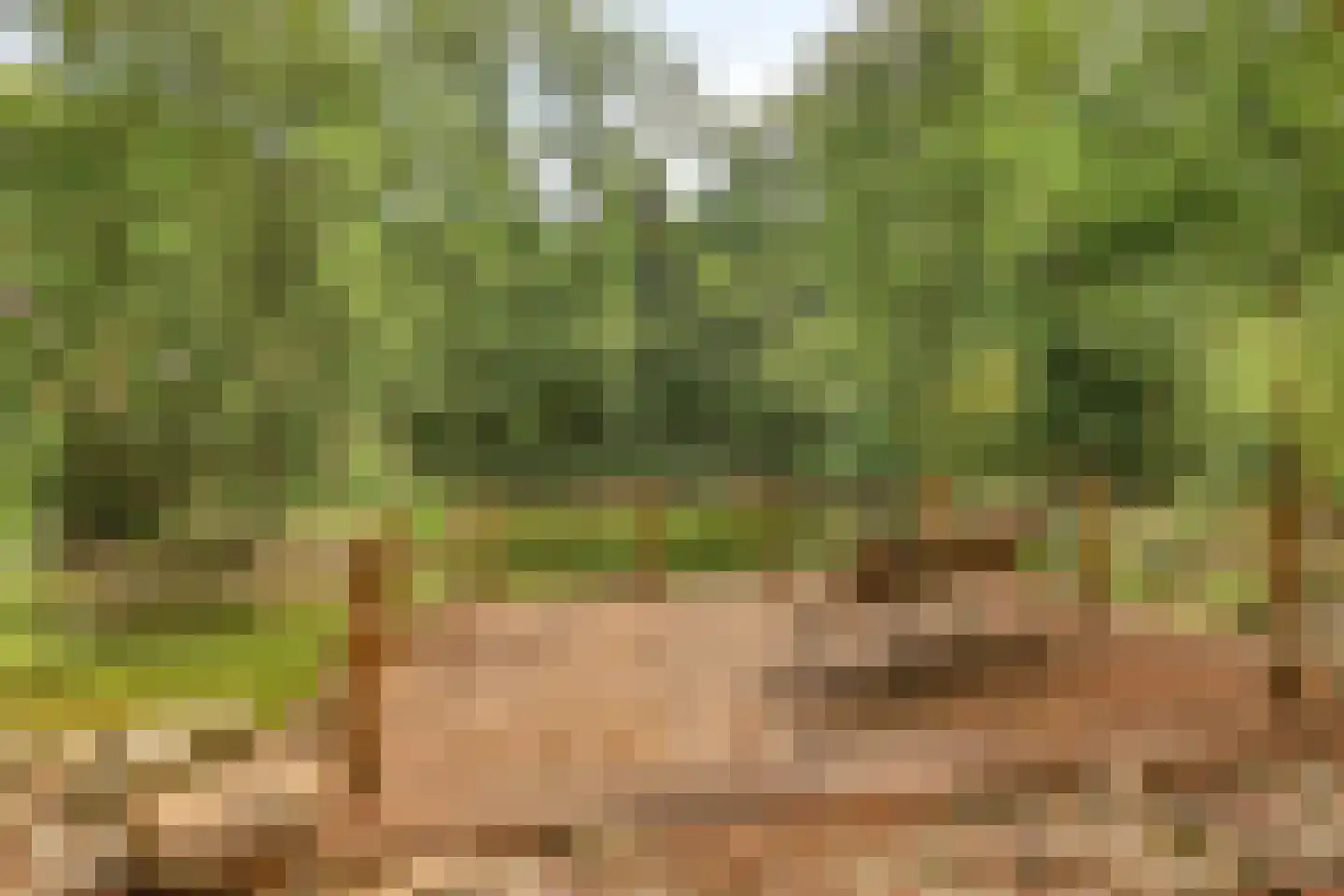 Norelholtweg 10 Epe thumbnail 68