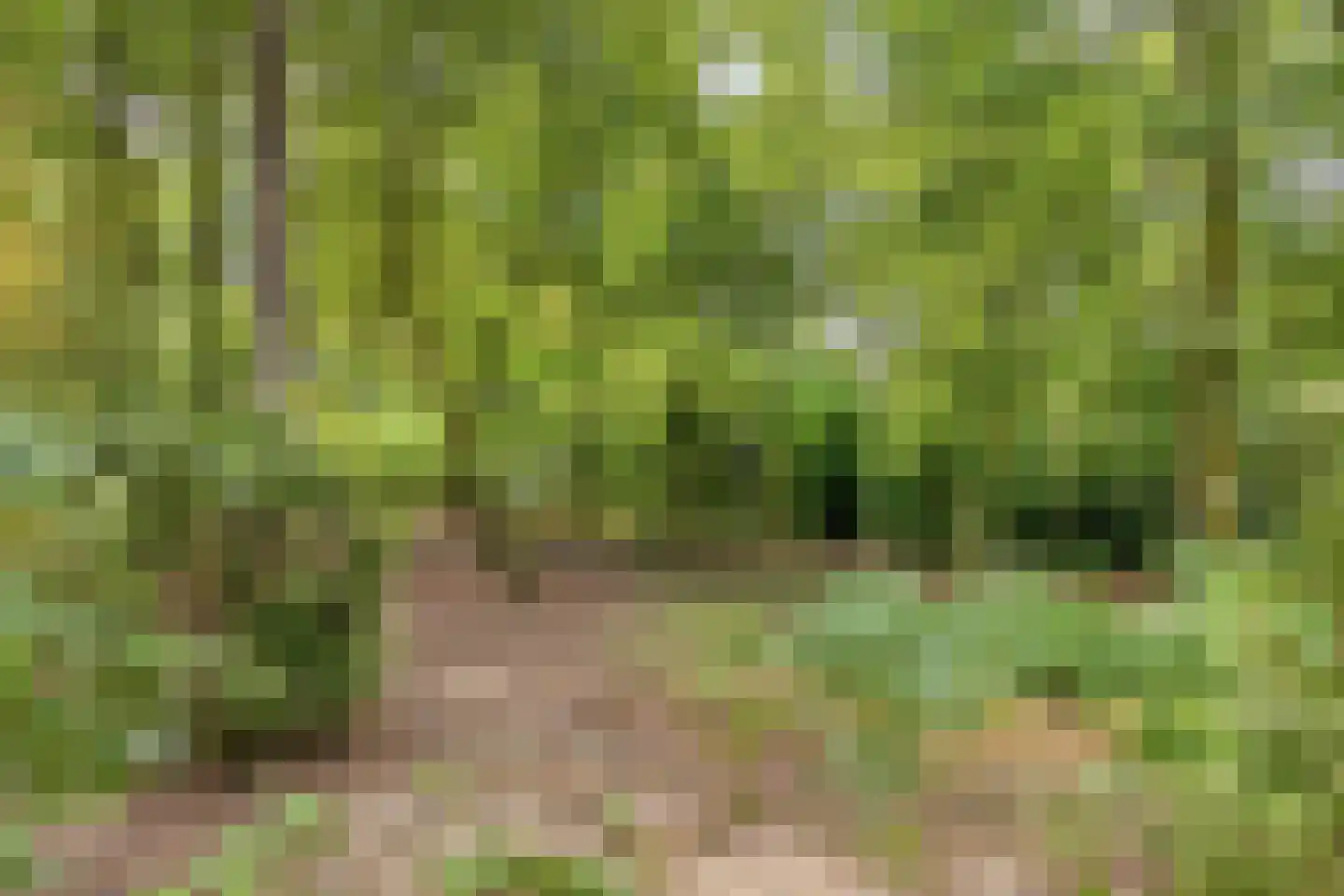 Norelholtweg 10 Epe thumbnail 69