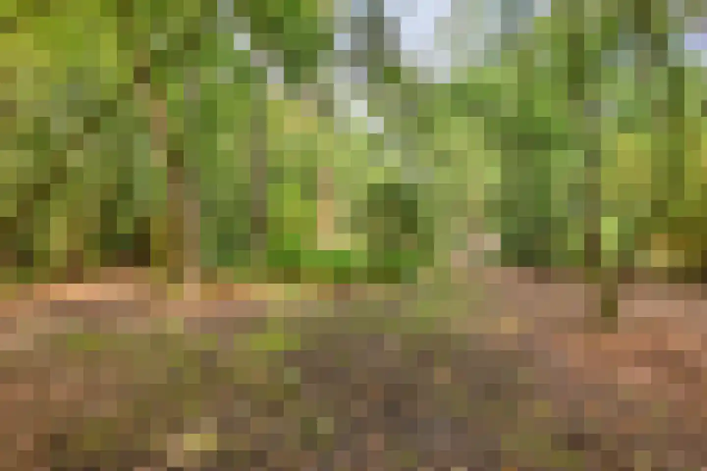 Norelholtweg 10 Epe thumbnail 70