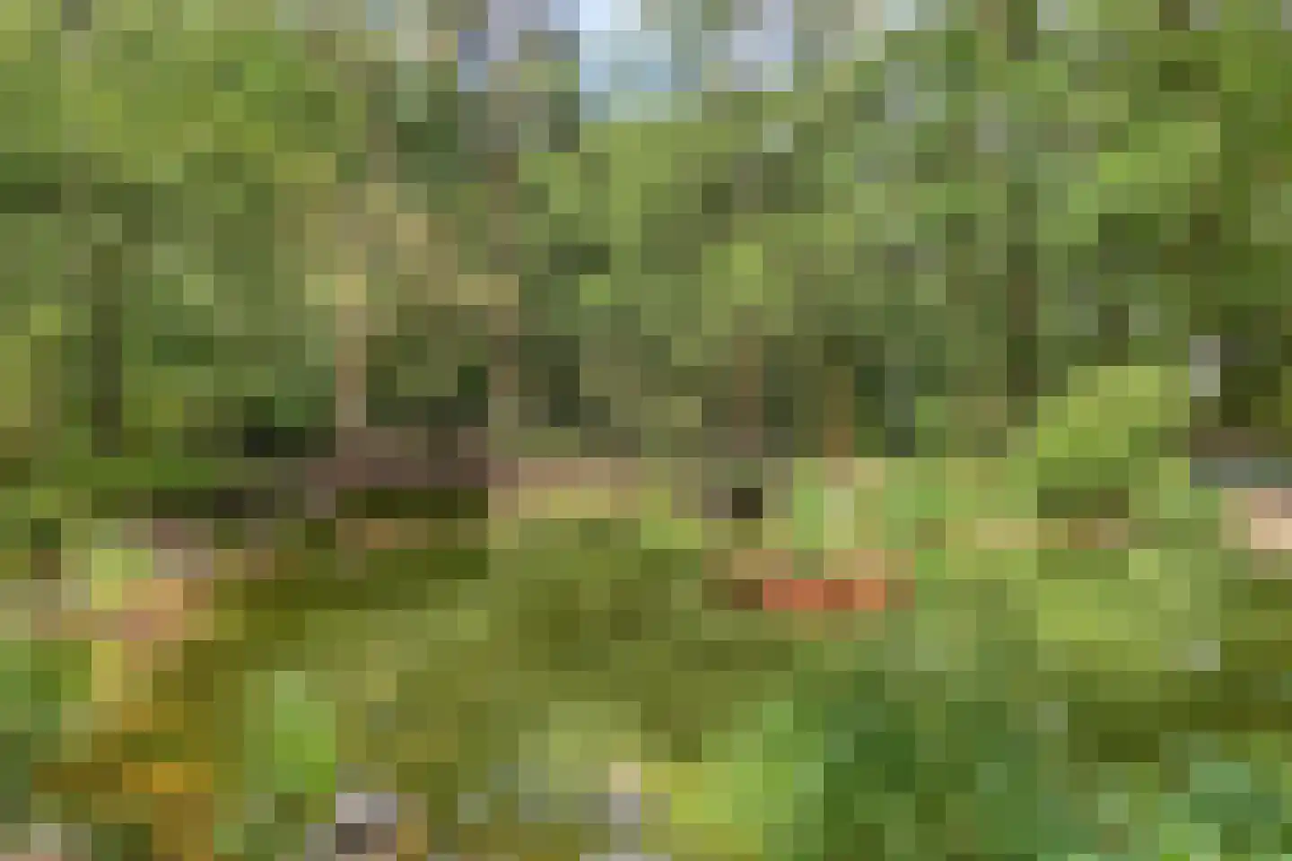 Norelholtweg 10 Epe thumbnail 71