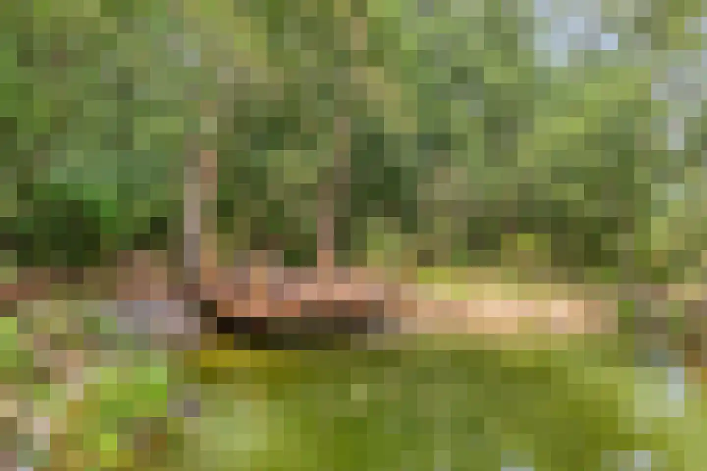 Norelholtweg 10 Epe thumbnail 72