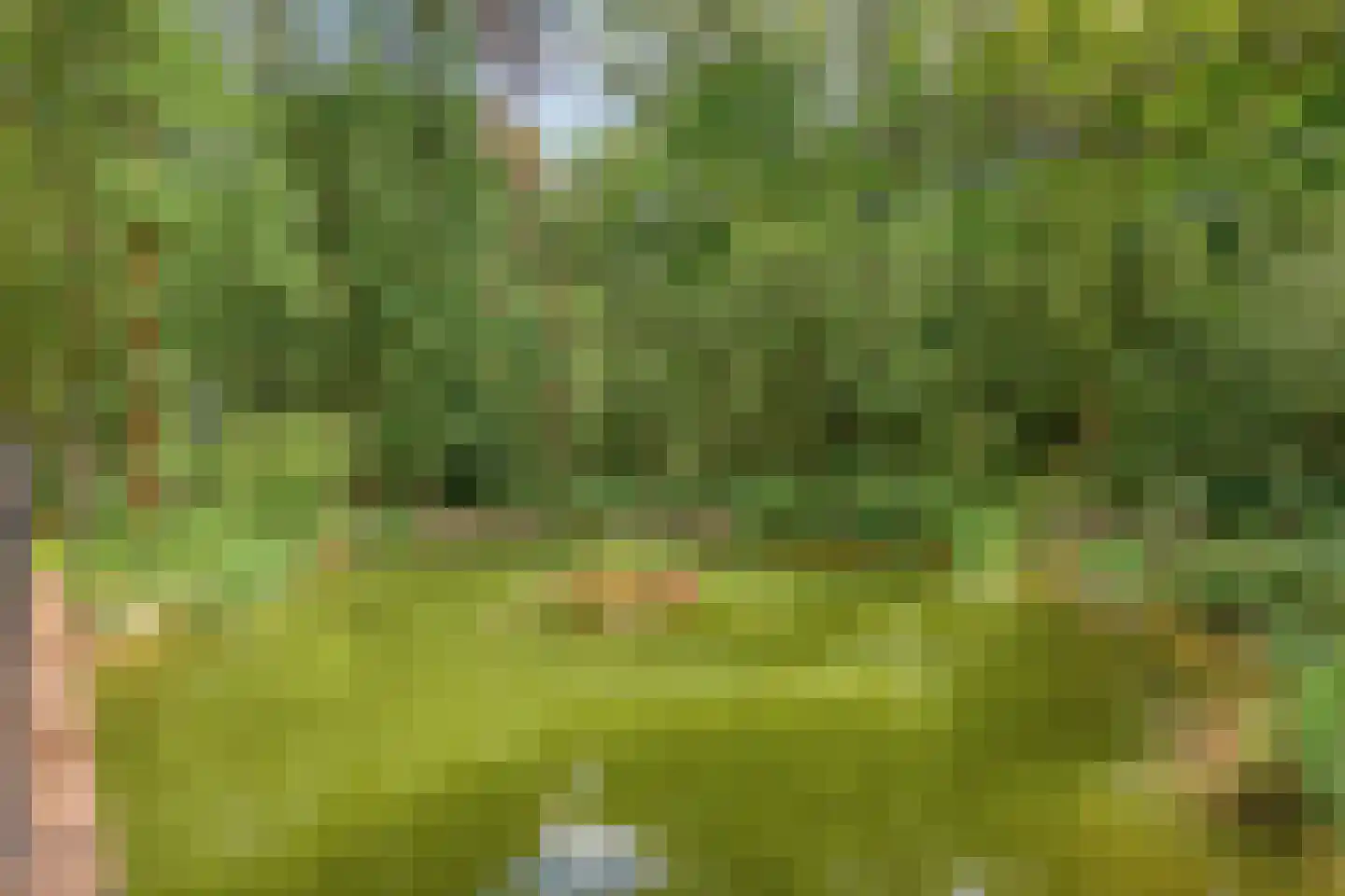 Norelholtweg 10 Epe thumbnail 73
