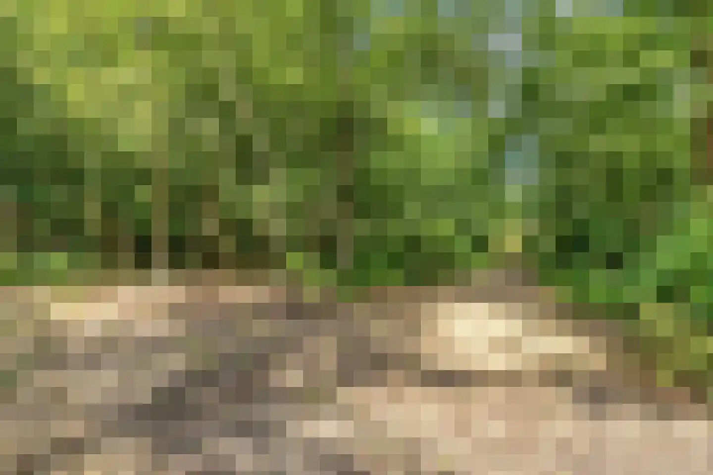Norelholtweg 10 Epe thumbnail 74