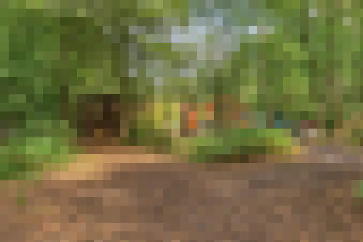 Norelholtweg 10 Epe thumbnail 75