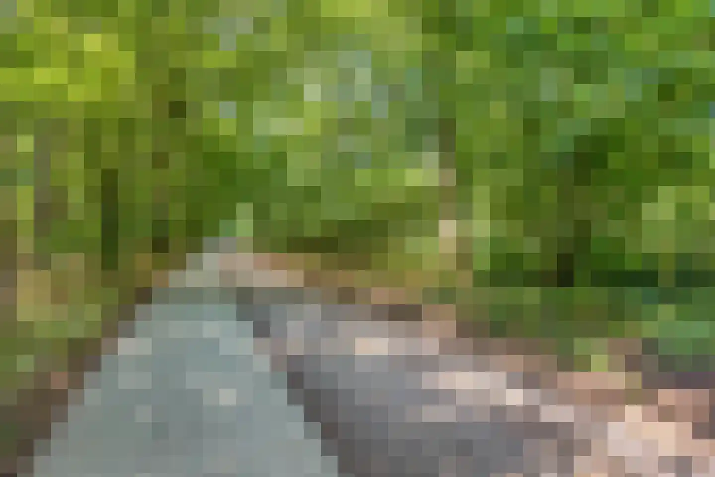 Norelholtweg 10 Epe thumbnail 77