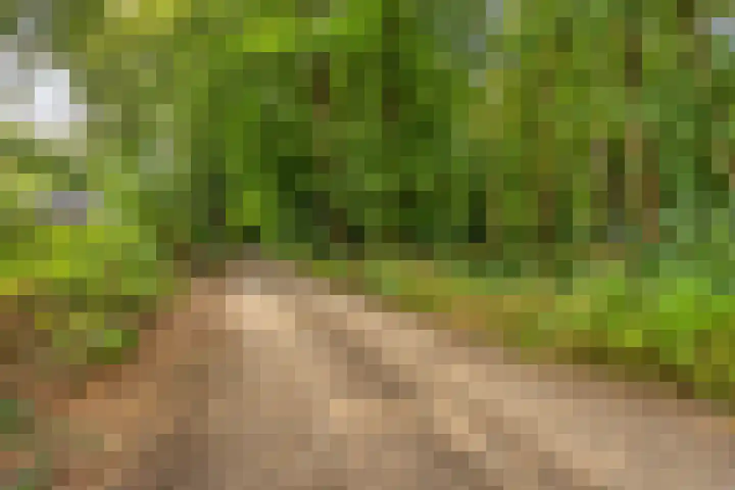 Norelholtweg 10 Epe thumbnail 78