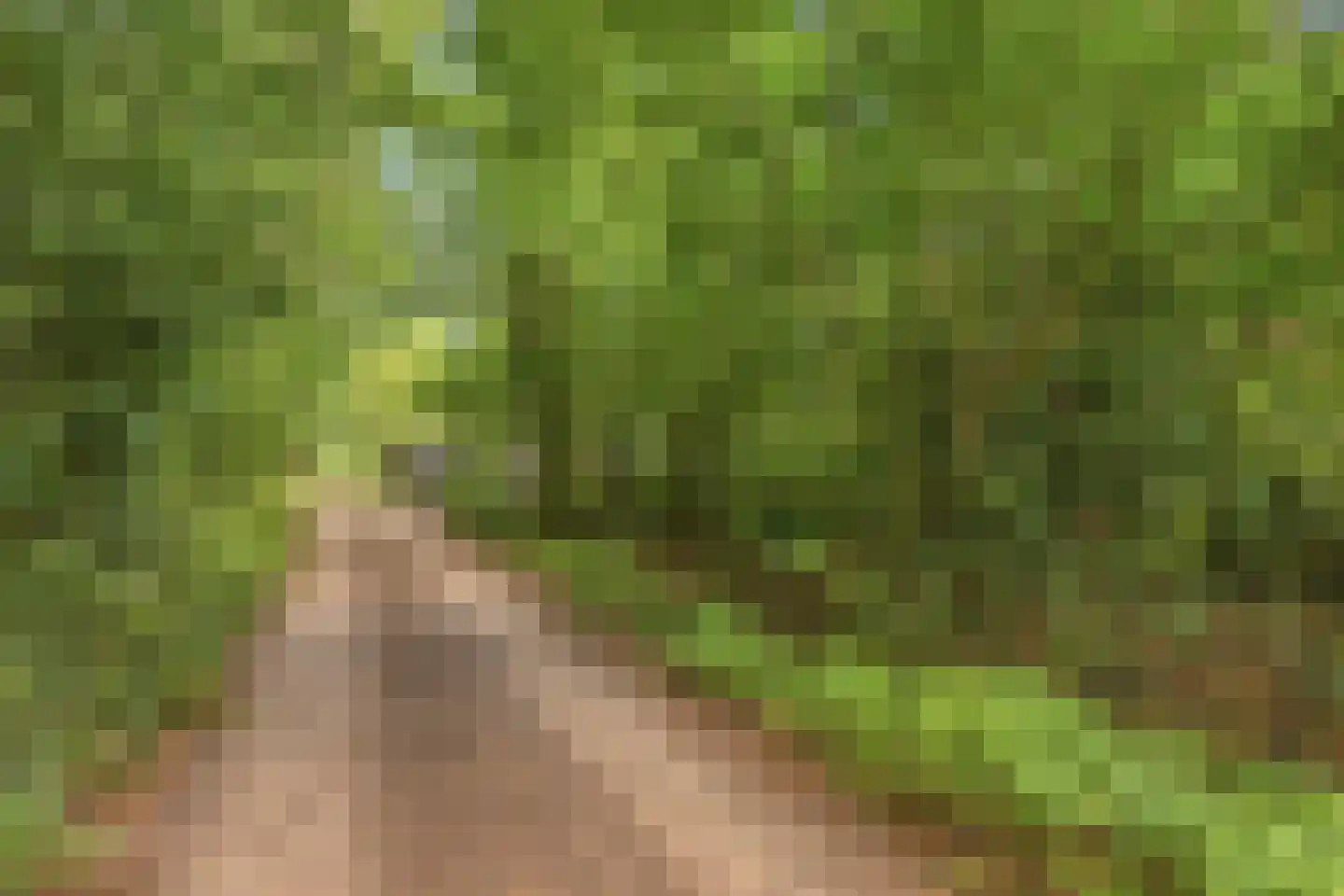 Norelholtweg 10 Epe thumbnail 79