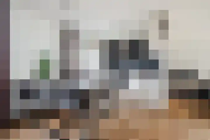 Norenberg 28 Veldhoven thumbnail 13