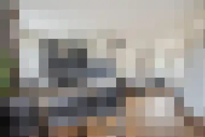 Norenberg 28 Veldhoven thumbnail 14