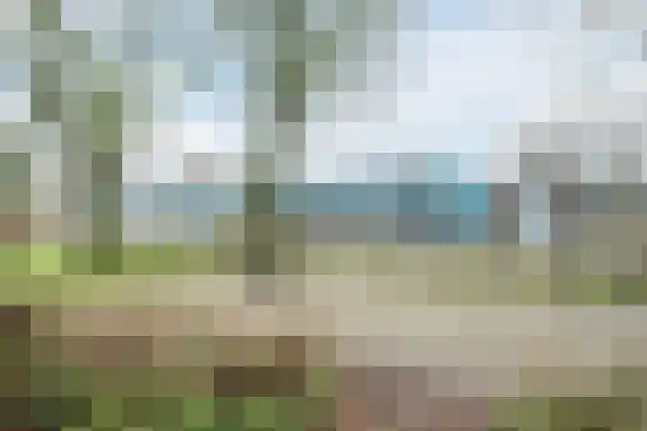 Norenberg 28 Veldhoven thumbnail 32