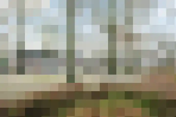 Norenberg 28 Veldhoven thumbnail 33