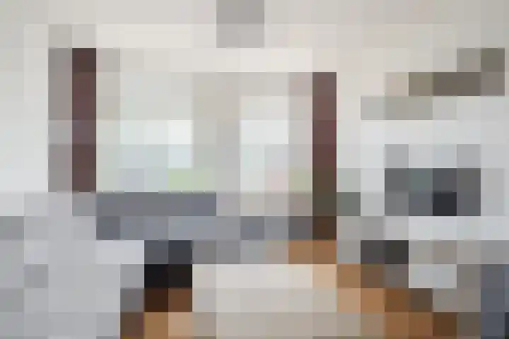 Norenberg 28 Veldhoven thumbnail 8