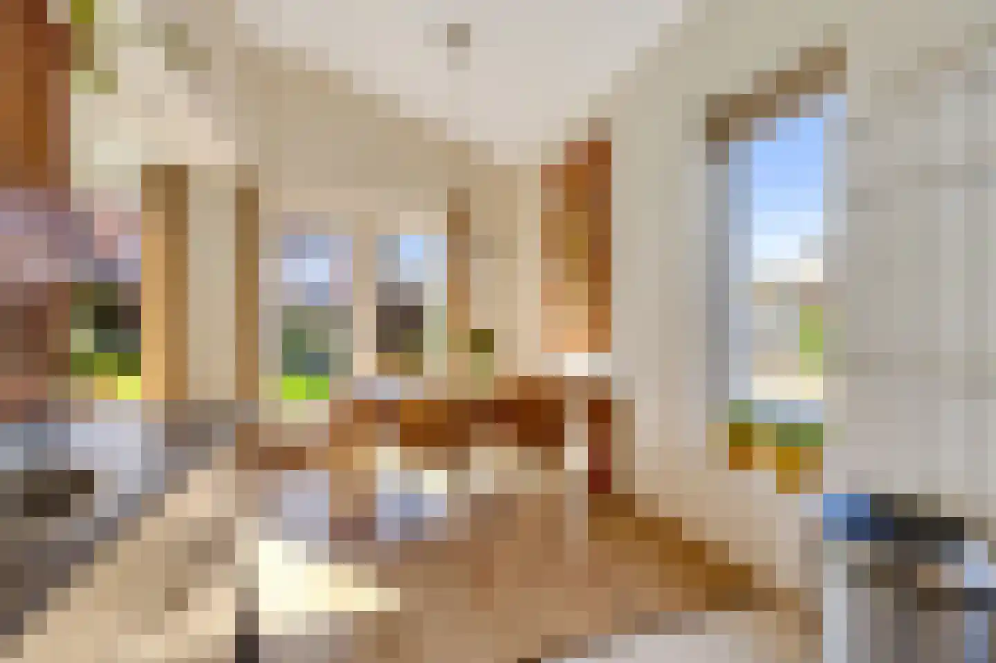 Norenberg 35 Veldhoven thumbnail 20