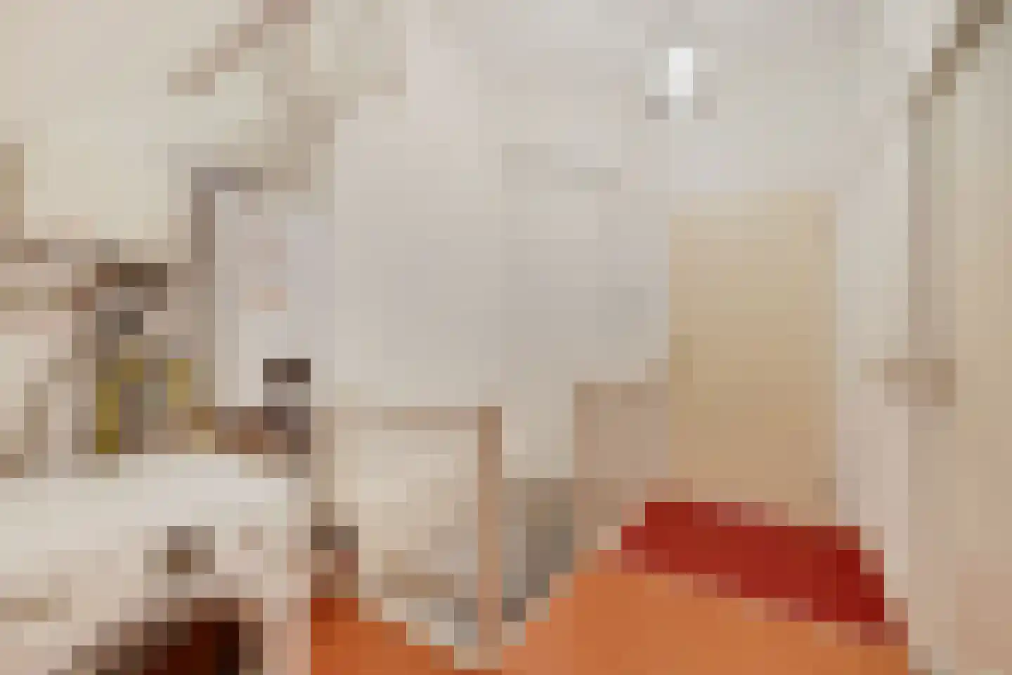 Norenberg 35 Veldhoven thumbnail 32