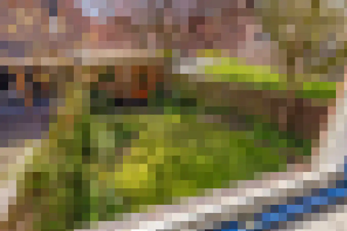 Norenberg 35 Veldhoven thumbnail 46