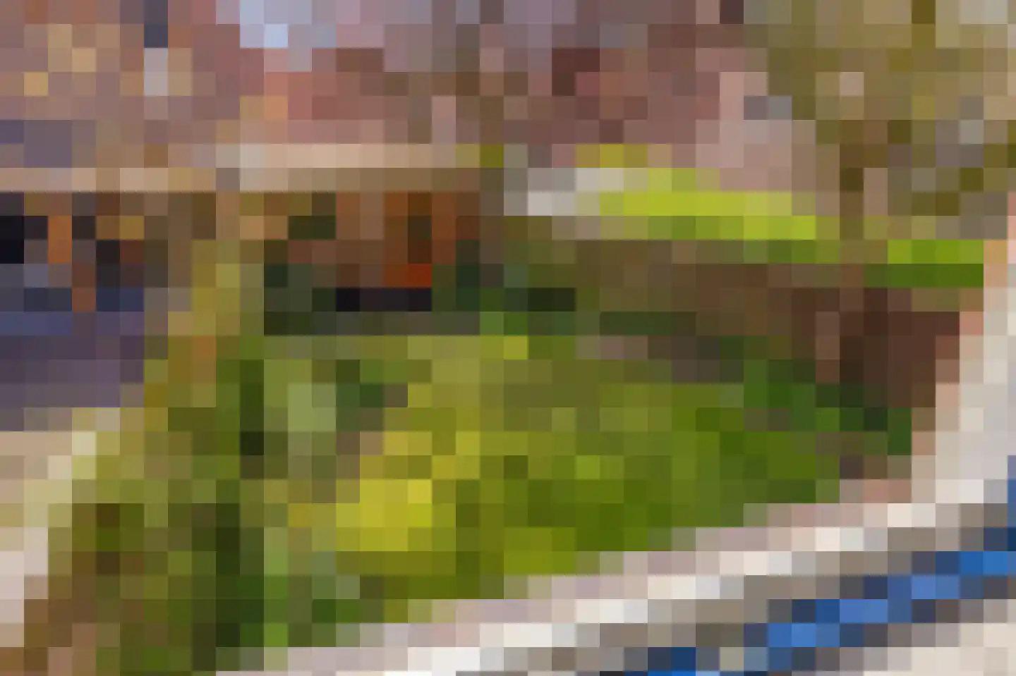 Norenberg 35 Veldhoven thumbnail 55