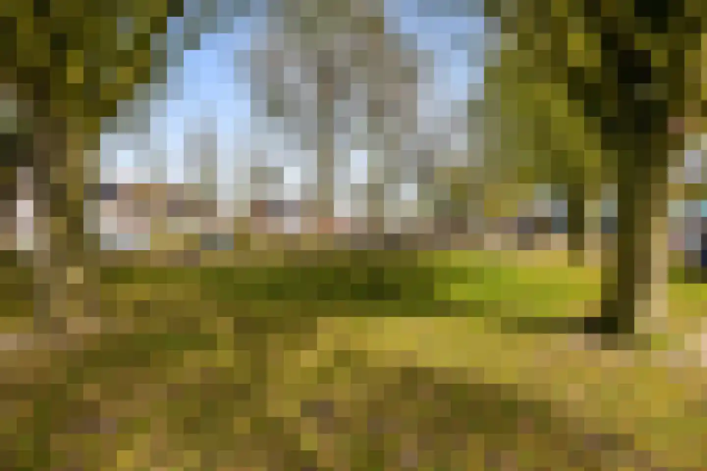 Norenberg 35 Veldhoven thumbnail 56