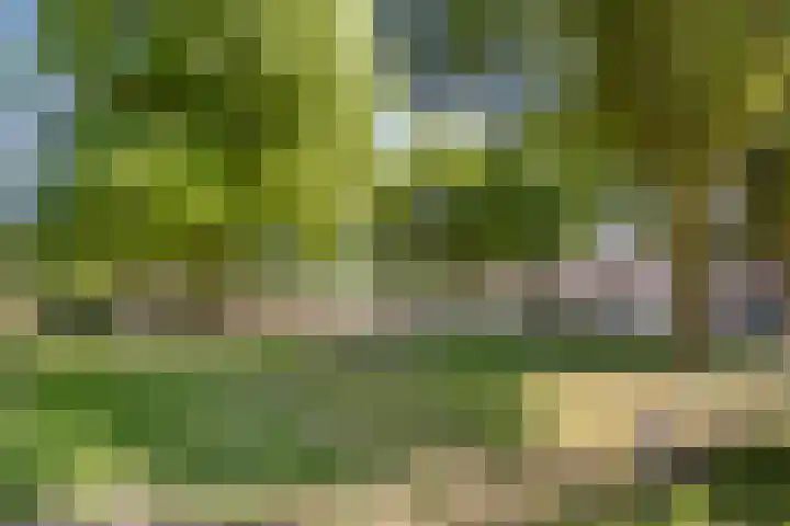 Norenberg 48 Veldhoven thumbnail 39