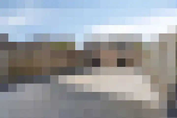 Norenberg 48 Veldhoven thumbnail 6