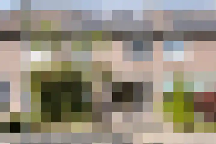 Norenberg 48 Veldhoven thumbnail 7