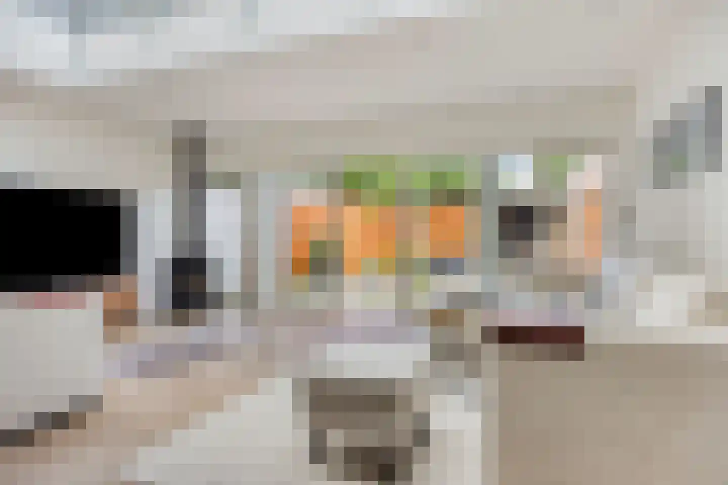 Norenberg 74 Veldhoven thumbnail 12