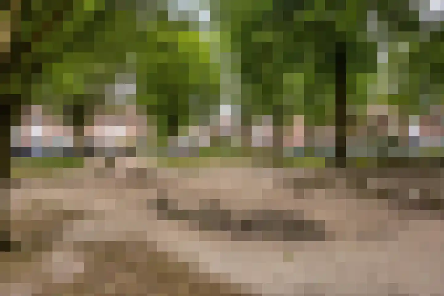 Norenberg 74 Veldhoven thumbnail 46