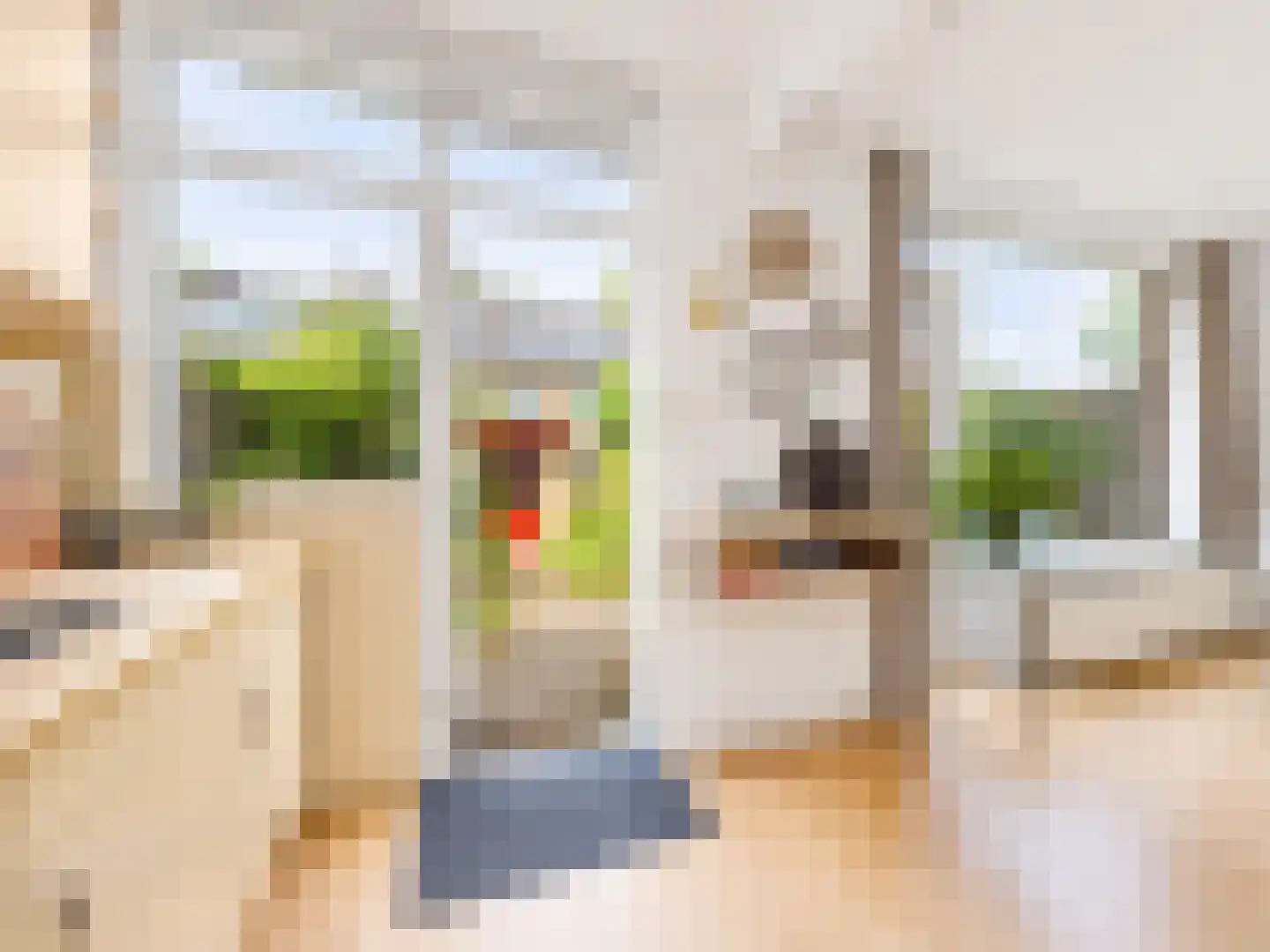 Norenburg 101 Den Haag thumbnail 11