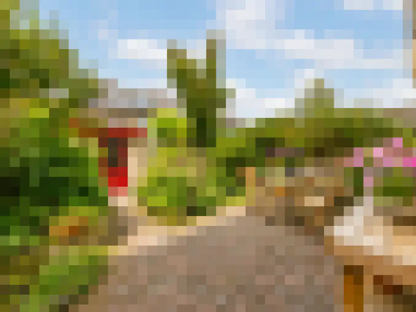 Norenburg 101 Den Haag thumbnail 12