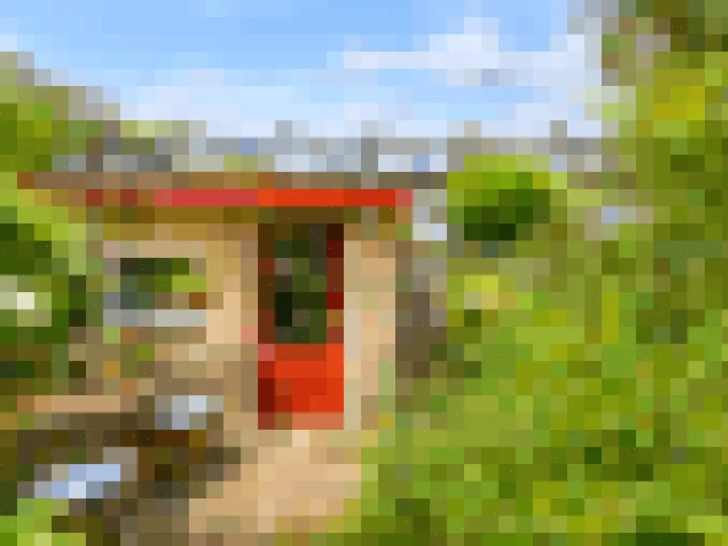Norenburg 101 Den Haag thumbnail 14