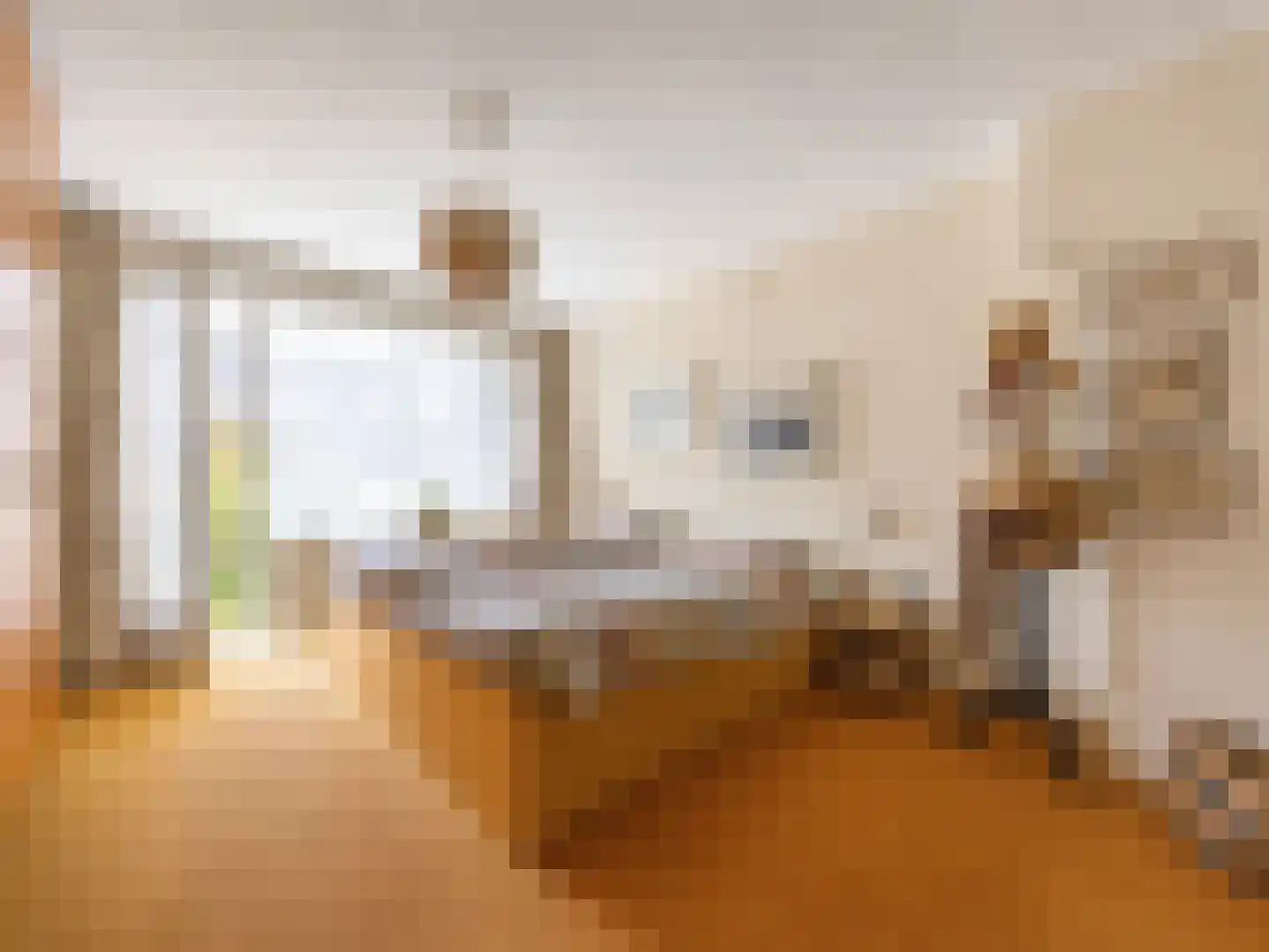 Norenburg 101 Den Haag thumbnail 22