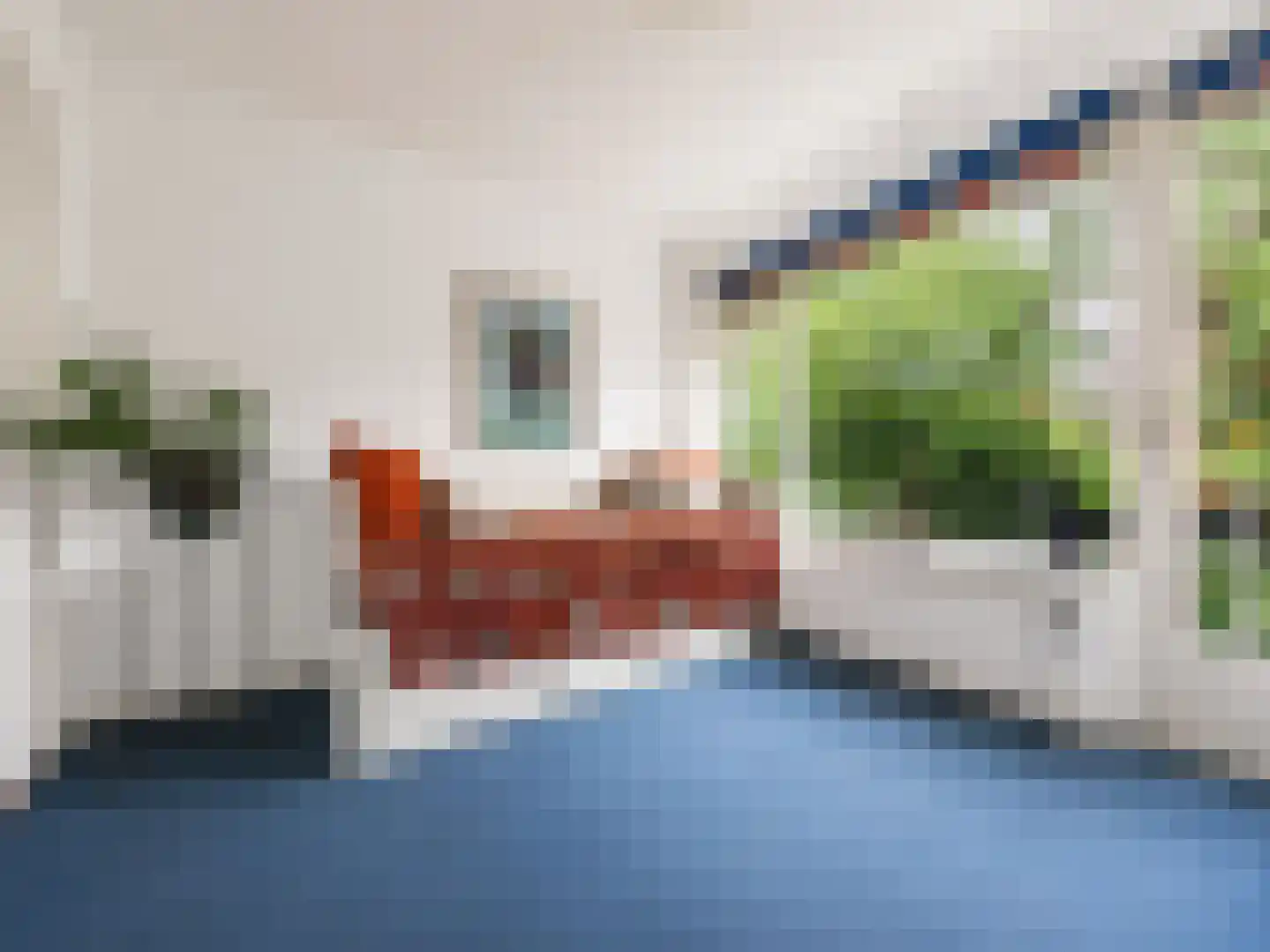 Norenburg 101 Den Haag thumbnail 25