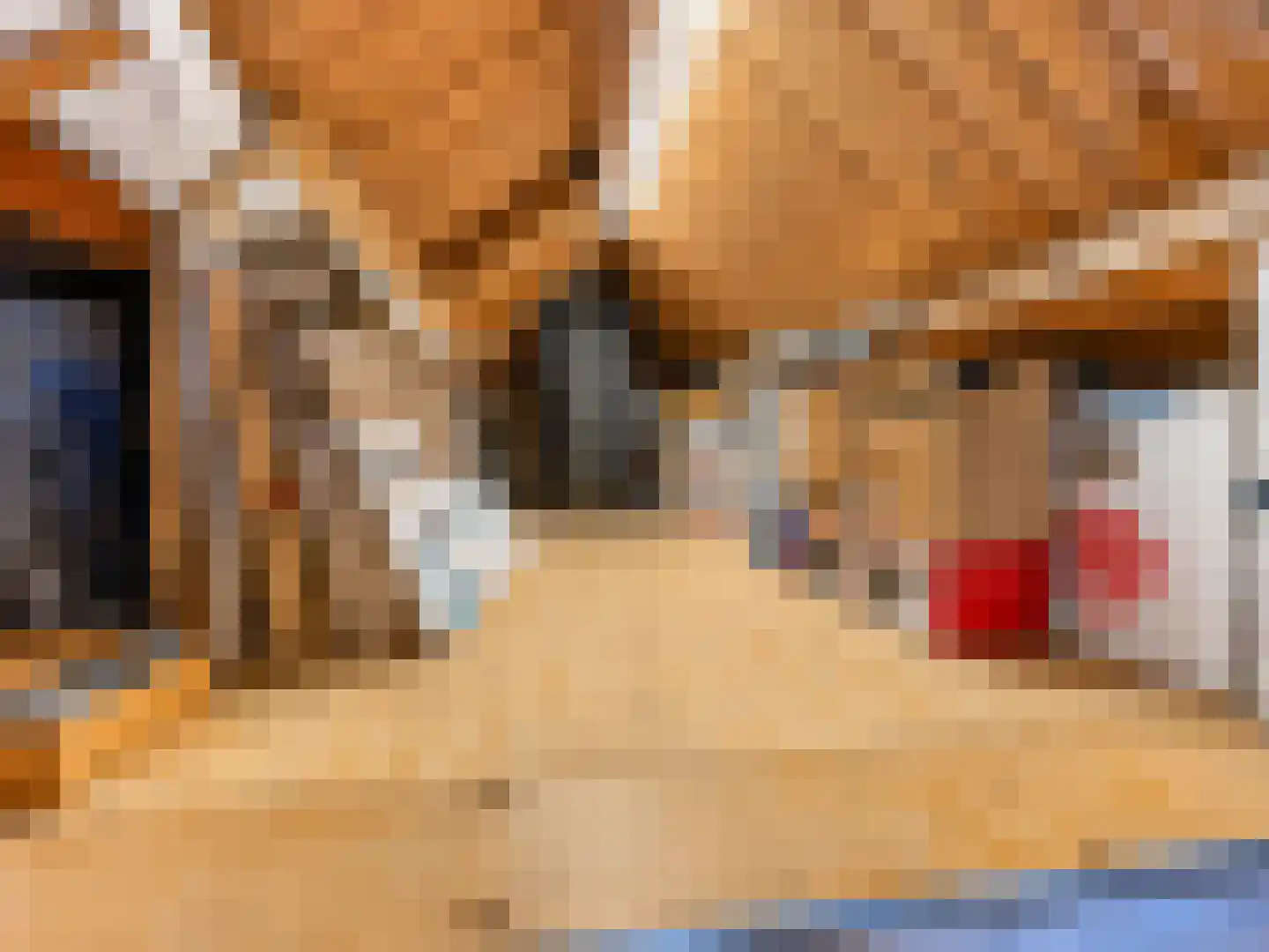 Norenburg 101 Den Haag thumbnail 37