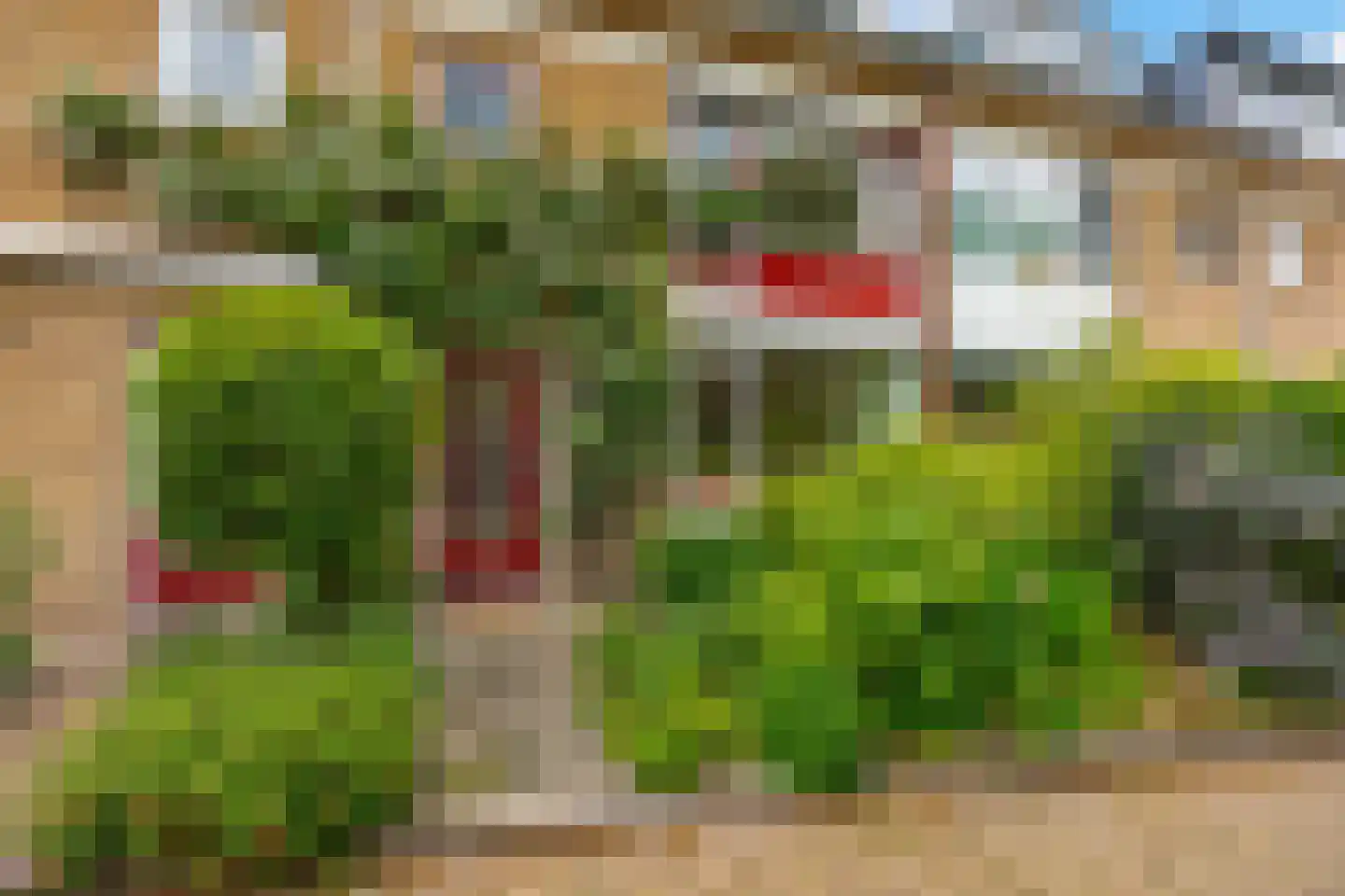 Norenburg 101 Den Haag thumbnail 41